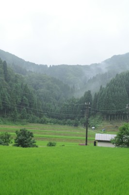 鯖江週末写真家