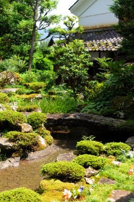 鯖江週末写真家