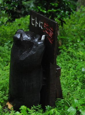 鯖江週末写真家