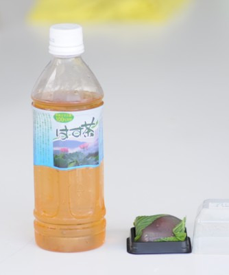 鯖江週末写真家