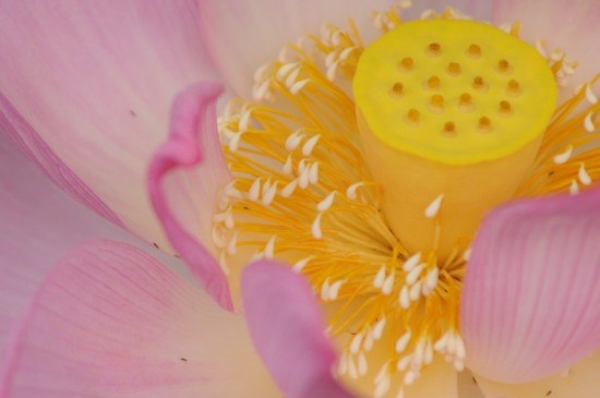 鯖江週末写真家