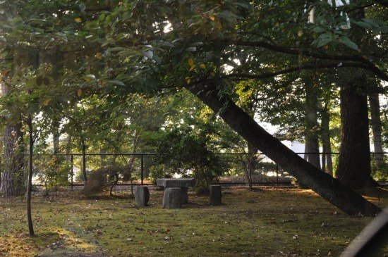 鯖江週末写真家