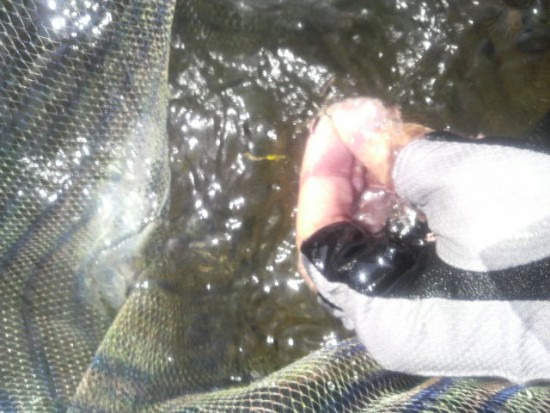 鯖江週末写真家