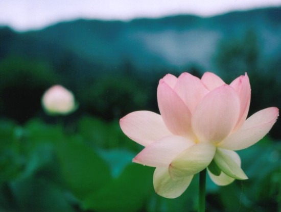 鯖江週末写真家