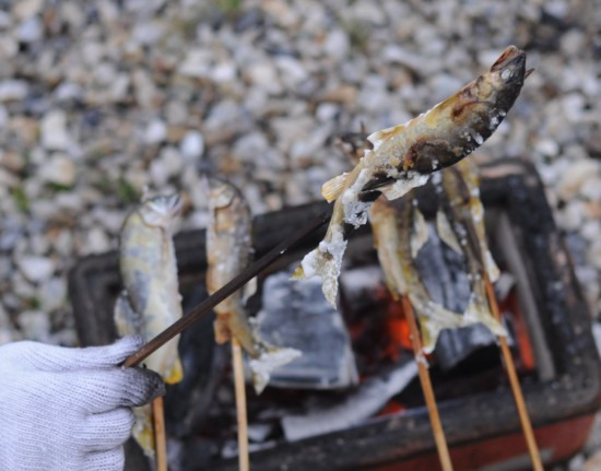 鯖江週末写真家