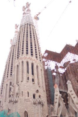 鯖江週末写真家