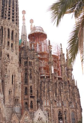 鯖江週末写真家