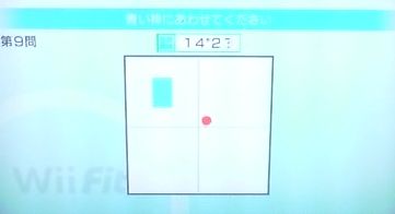 WiiFitでバランス力を鍛える_e0024918_19224269.jpg