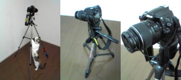 三脚など購入、一眼レフのアクセサリー_e0024918_2312646.jpg