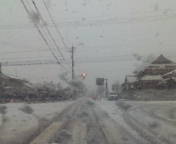 みるみる積もる雪_e0024918_8594566.jpg